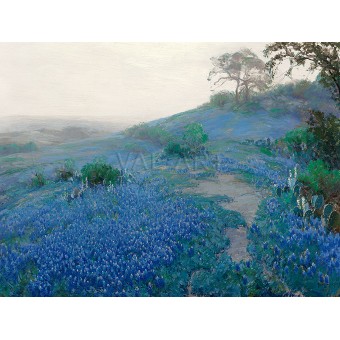Поляни със сини цветя рано сутрин в Сан Антонио – 1914
