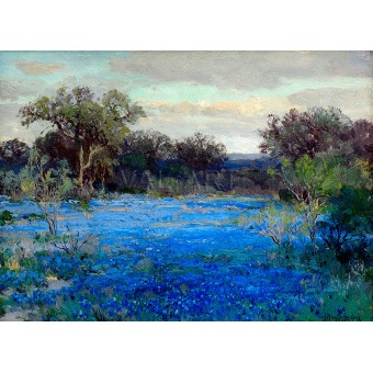 Сини лупинуси - 1919