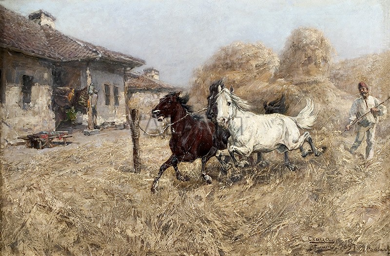 Вършитба в Радомирско – 1897