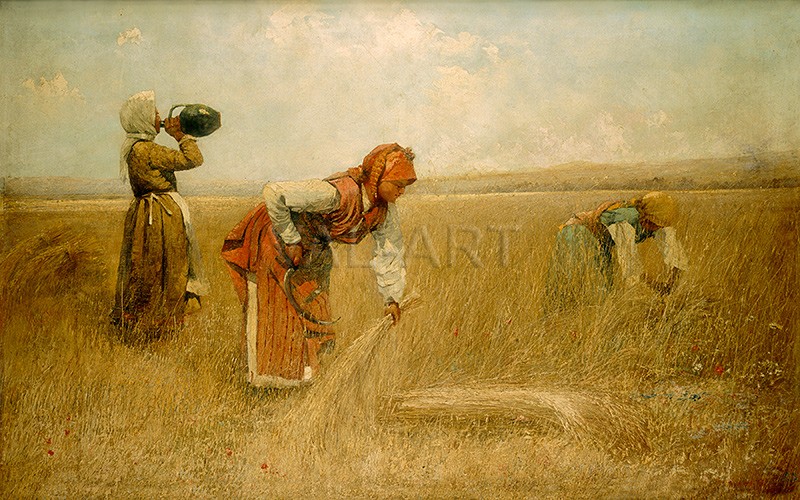 Жътва – 1892