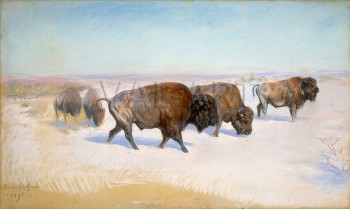 РЕПРОДУКЦИИ НА КАРТИНИ Емиграцията на бизоните (1896)