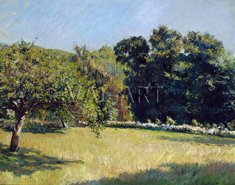 РЕПРОДУКЦИИ НА КАРТИНИ Градина в Трувил (1882)