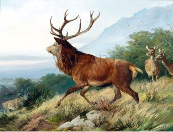 РЕПРОДУКЦИИ НА КАРТИНИ Разгонен елен (1870)