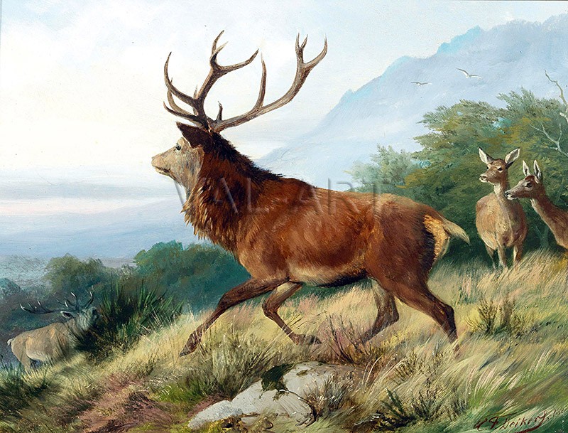 РЕПРОДУКЦИИ НА КАРТИНИ Разгонен елен (1870)