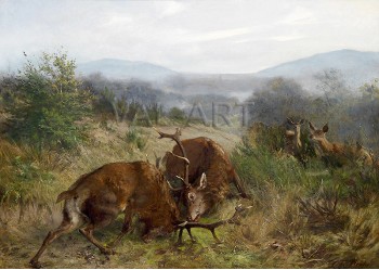 РЕПРОДУКЦИИ НА КАРТИНИ Биещи се елени (1871)