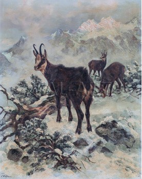 РЕПРОДУКЦИИ НА КАРТИНИ Диви кози в планината (1925)