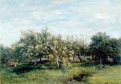 Репродукции на картини: Цъфнали ябълкови дървета (1873) – Шарл-Франсоа Добини