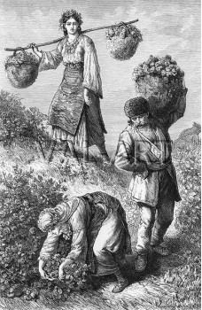 РЕПРОДУКЦИИ НА КАРТИНИ  Розобер при Казанлък (1870)