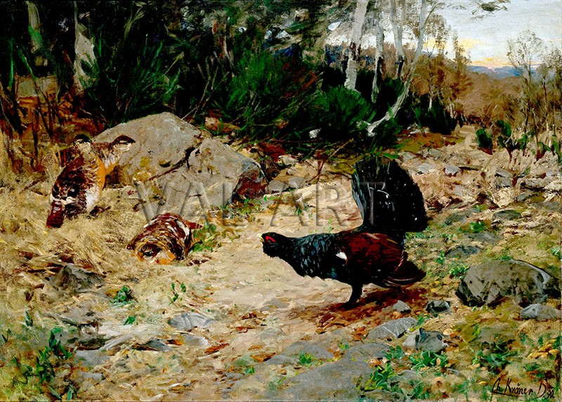 РЕПРОДУКЦИИ НА КАРТИНИ Глухар (1890)