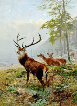 РЕПРОДУКЦИИ НА КАРТИНИ Доминиращият елен (1891)