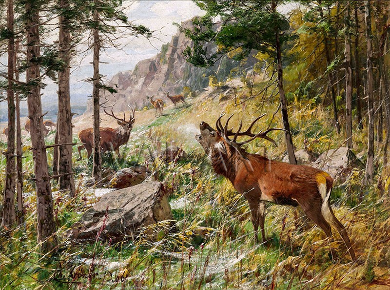 РЕПРОДУКЦИИ НА КАРТИНИ Зовящ елен (1906)