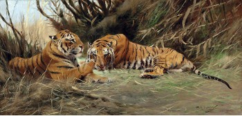 РЕПРОДУКЦИИ НА КАРТИНИ Тигри на разсъмване (1913)