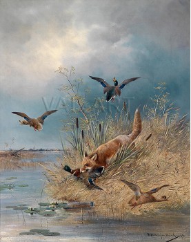 Лисица сред диви патици (1896) РЕПРОДУКЦИИ НА КАРТИНИ