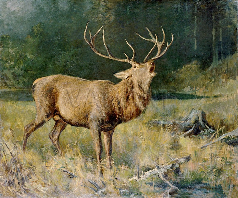 РЕПРОДУКЦИИ НА КАРТИНИ Ревящ елен (1885)