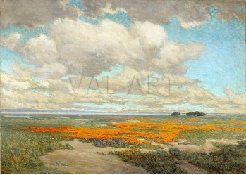 РЕПРОДУКЦИИ НА КАРТИНИ Поле от калифорнийски макове (1911)