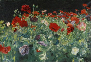 РЕПРОДУКЦИИ НА КАРТИНИ Макове (1886)