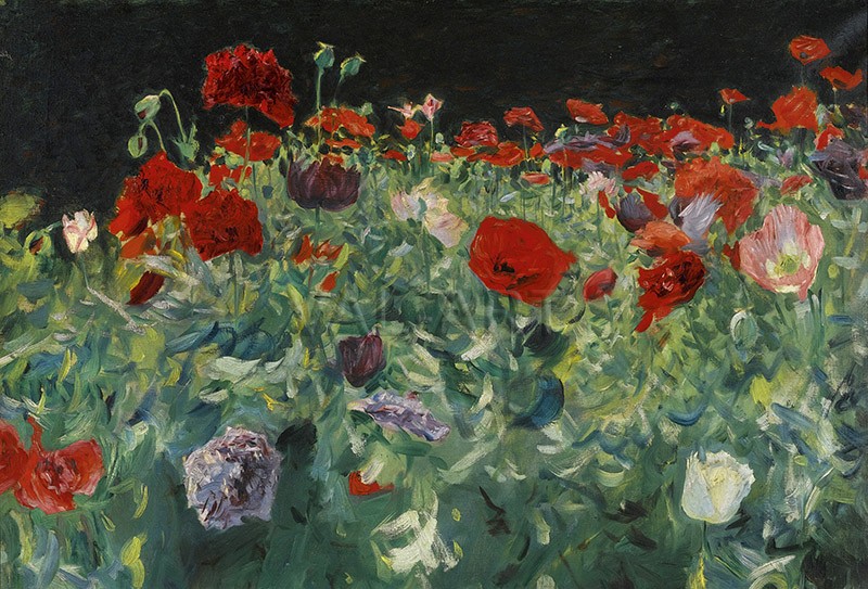 РЕПРОДУКЦИИ НА КАРТИНИ Макове (1886)