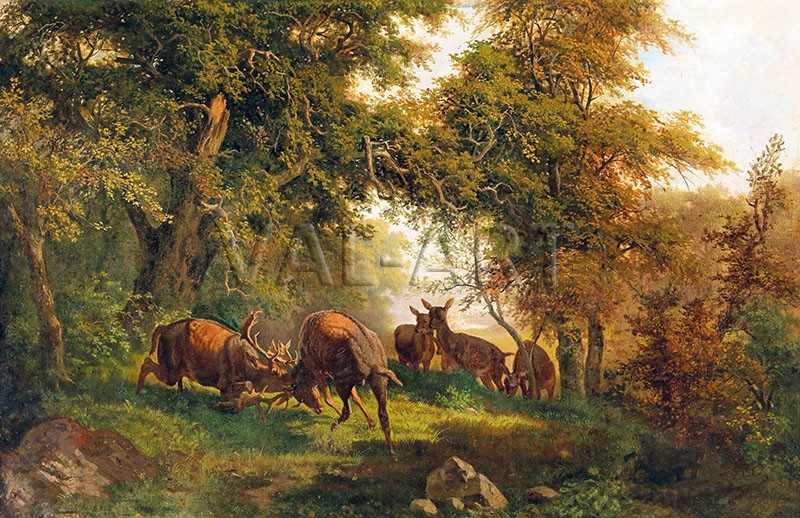 РЕПРОДУКЦИИ НА КАРТИНИ Биещи се елени (1906)
