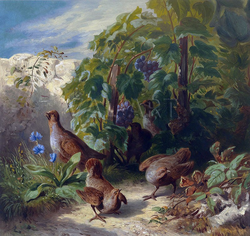 РЕПРОДУКЦИИ НА КАРТИНИ Яребици (1870)