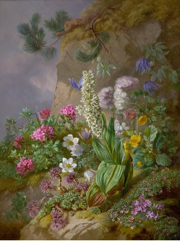 РЕПРОДУКЦИИ НА КАРТИНИ Алпийски цветя (1876)