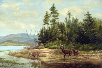 РЕПРОДУКЦИИ НА КАРТИНИ Гледка към Лонг Лейк (1882)