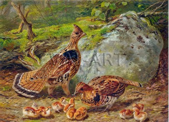РЕПРОДУКЦИИ НА КАРТИНИ Гривeст тетрев (1863)