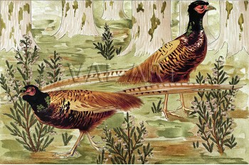 РЕПРОДУКЦИИ НА КАРТИНИ Обикновени фазани (1902)