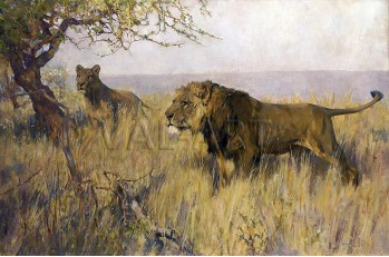 РЕПРОДУКЦИИ НА КАРТИНИ Лъв и лъвица оглеждащи територията си (1891)