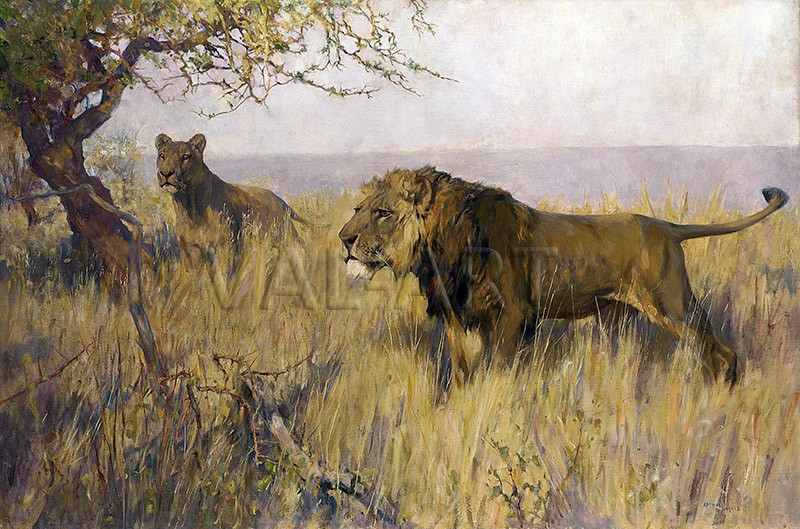 РЕПРОДУКЦИИ НА КАРТИНИ Лъв и лъвица оглеждащи територията си (1891)