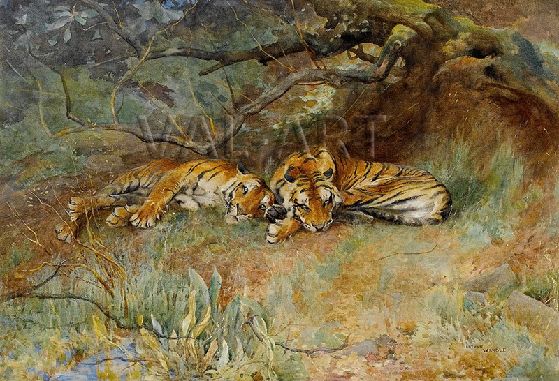 РЕПРОДУКЦИИ НА КАРТИНИ Два тигъра в покой (1901)