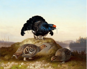 РЕПРОДУКЦИИ НА КАРТИНИ Тетрев (1870)