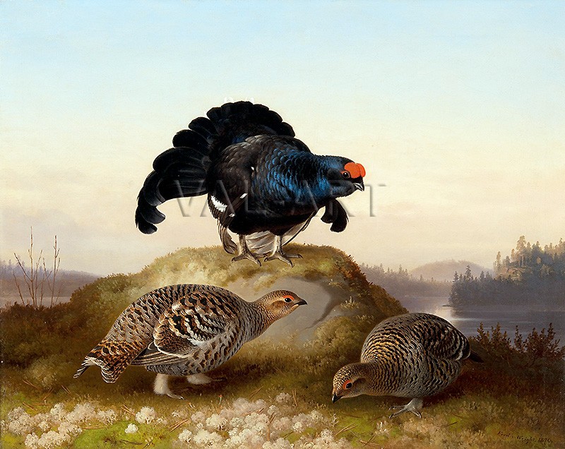 РЕПРОДУКЦИИ НА КАРТИНИ Тетрев (1870)