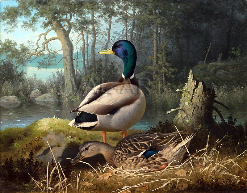 РЕПРОДУКЦИИ НА КАРТИНИ Патици (1873)