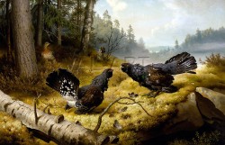 РЕПРОДУКЦИИ НА КАРТИНИ Биещи се глухари (1886)