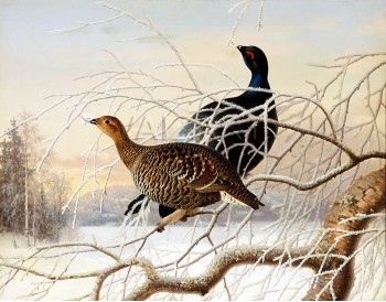 РЕПРОДУКЦИИ НА КАРТИНИ Двойка глухари (1880)