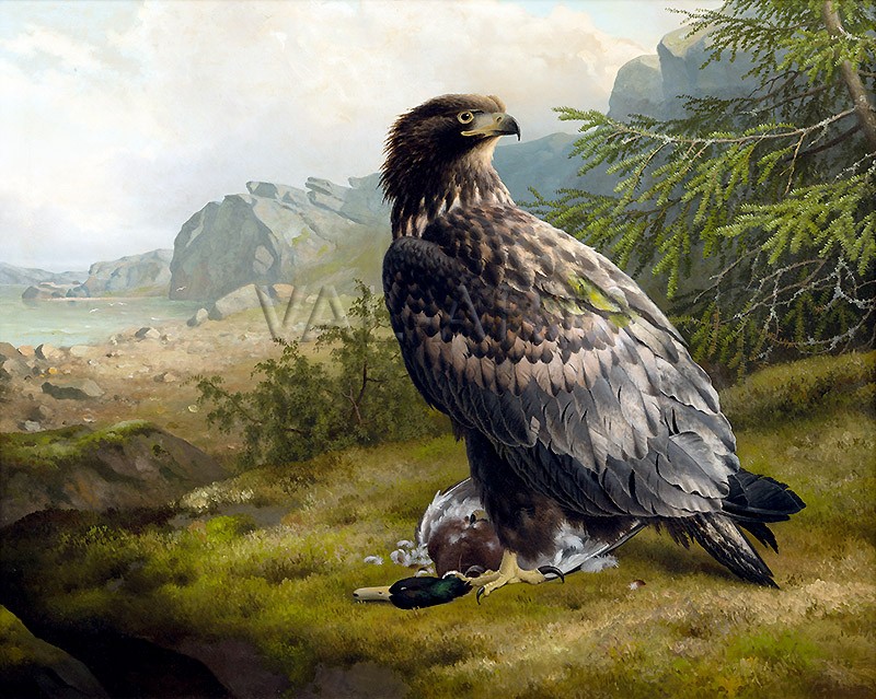 РЕПРОДУКЦИИ НА КАРТИНИ Орел с плячка (1893)