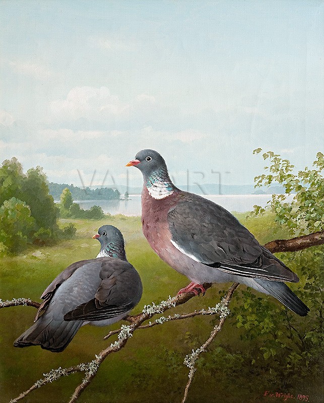 РЕПРОДУКЦИИ НА КАРТИНИ Гълъби (1895)