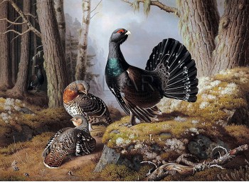 РЕПРОДУКЦИИ НА КАРТИНИ Ухажващ глухар (1862)