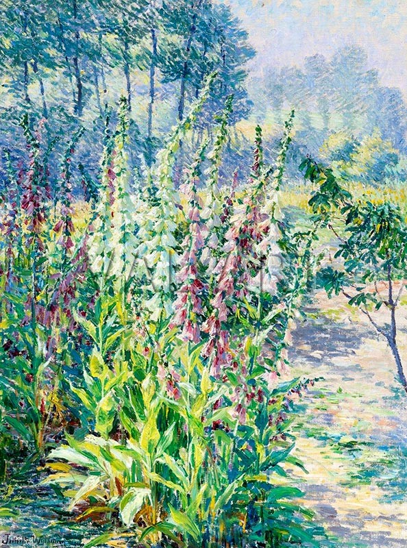 РЕПРОДУКЦИИ НА КАРТИНИ Дигиталис (1920)