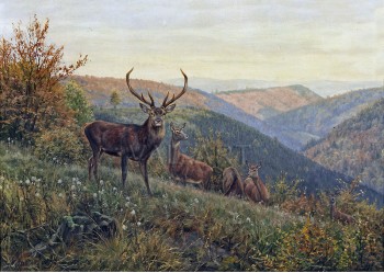РЕПРОДУКЦИИ НА КАРТИНИ Стадо елени в планините Харц (1892)