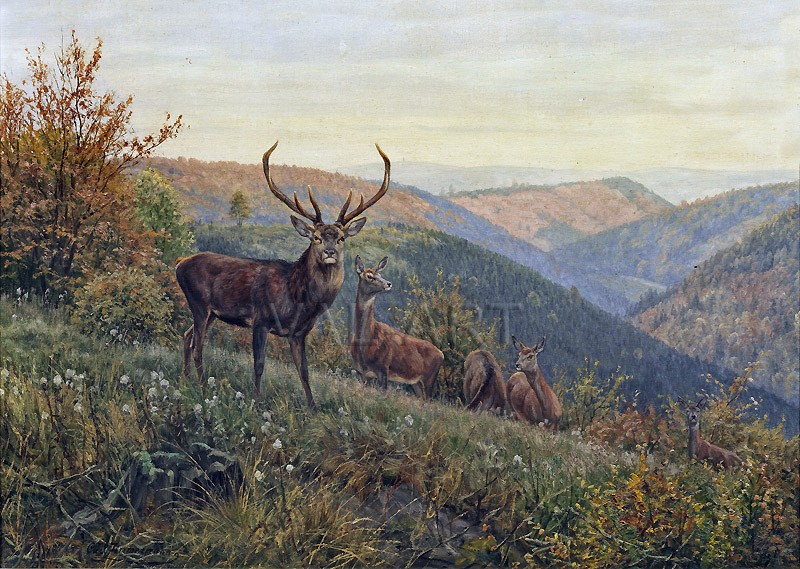 РЕПРОДУКЦИИ НА КАРТИНИ Стадо елени в планините Харц (1892)