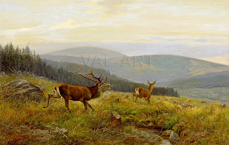РЕПРОДУКЦИИ НА КАРТИНИ Елен на горска поляна (1895)