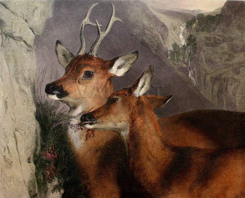 Меден месец (1855) РЕПРОДУКЦИИ НА КАРТИНИ